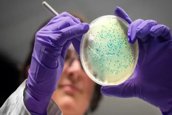 AI thiết kế kháng sinh mới chống bệnh lậu và MRSA